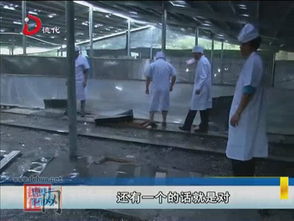 福建省石冻王生物技术研发中心在德化县成立